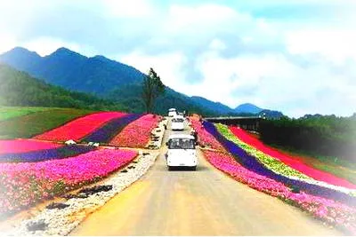 巫溪红池坝森林公园