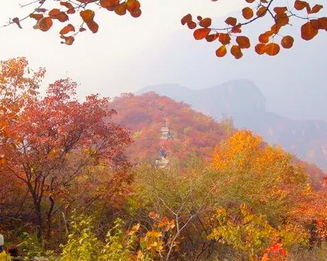 坡峰岭景区/幽岚山