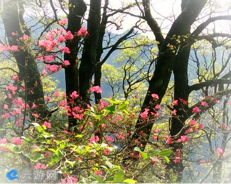 金寨马鬃岭风景区