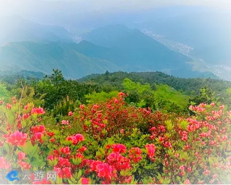 休宁陈霞五龙山