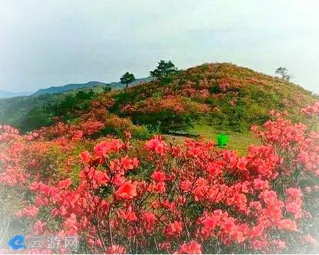 休宁陈霞五龙山