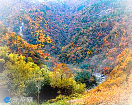 岳西鹞落坪景区