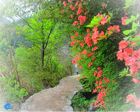 岳西大别山彩虹瀑布景区