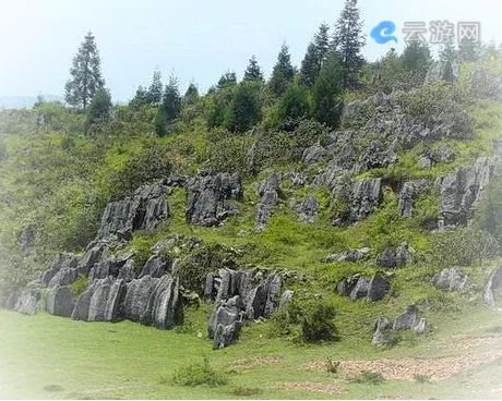 彭水摩围山风景区