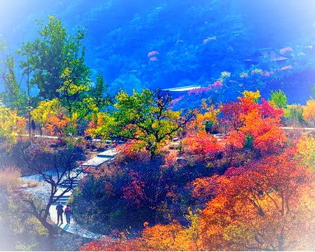 房山坡峰岭景区