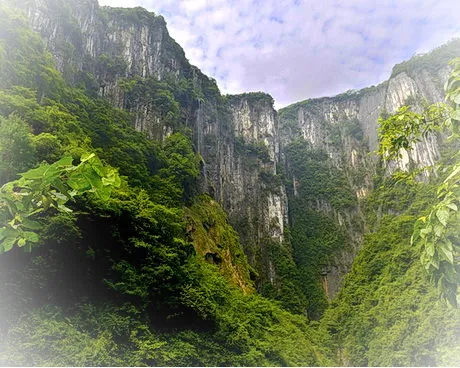 秀山川河盖草场旅游区