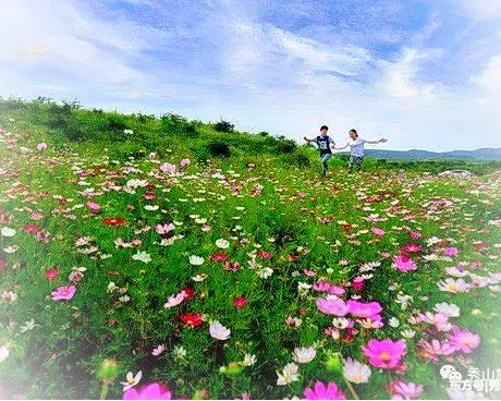 秀山川河盖草场旅游区