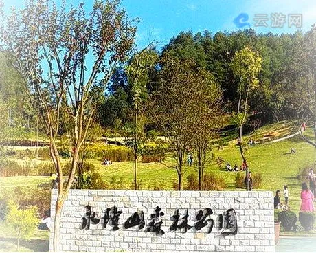 南川永隆山森林公园