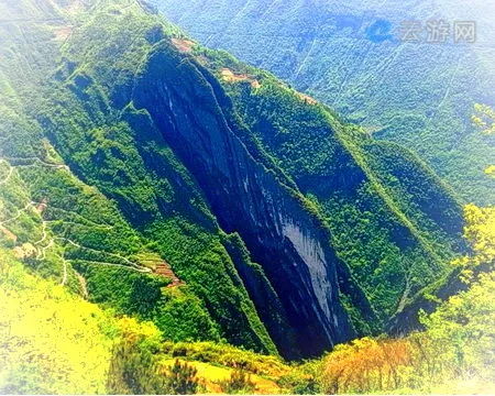 阴条岭自然保护区