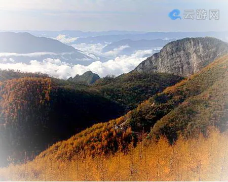 巫山梨子坪森林公园