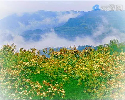 江津太公山风景区