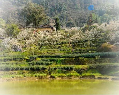 荣昌古佛山生态旅游区