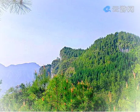 黔江仰头山森林公园