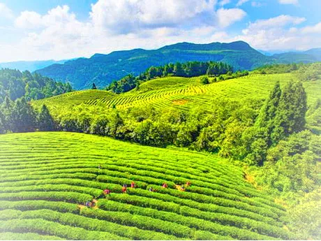 武隆白马山风景区