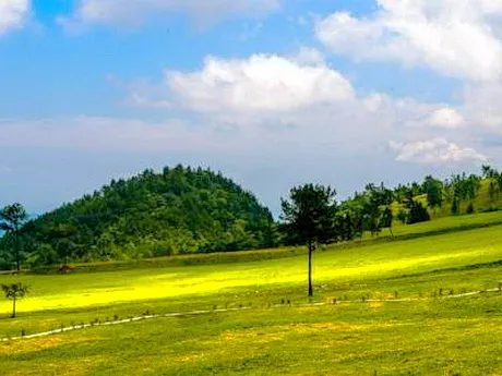 云阳歧山草原