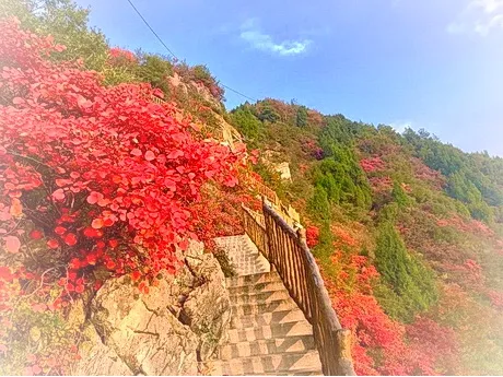 巫山文峰景区