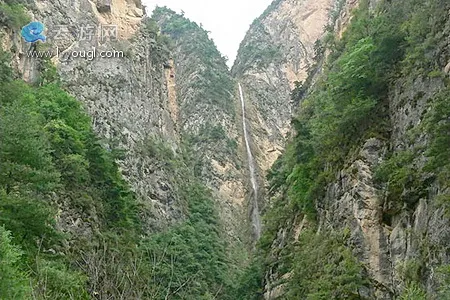 漳县遮阳山