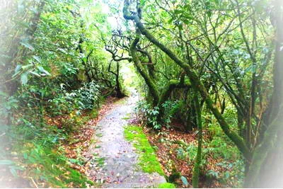 桂林兴安猫儿山景区