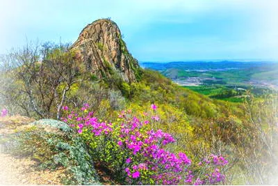 宾县高丽帽子山景区