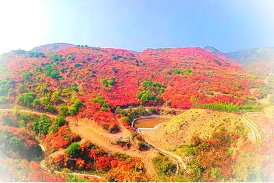 洛阳黛眉山红叶