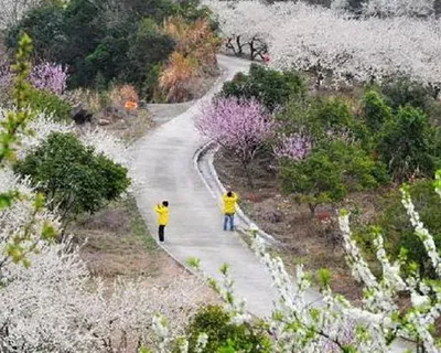 惠州御景峰国家森林公园