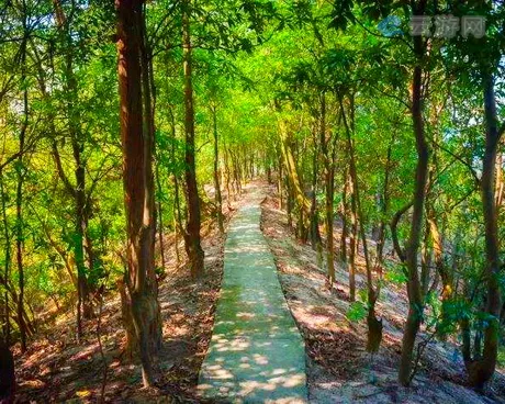 中山岐澳古道