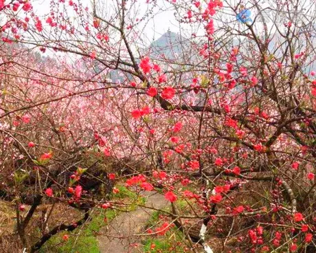 清远清新桃源生态旅游区