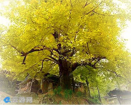 顺昌宝山风景名胜区