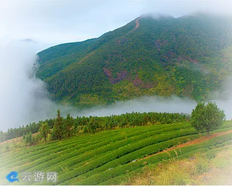 平和县大芹山