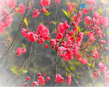 集美长春谷生态休闲旅游区