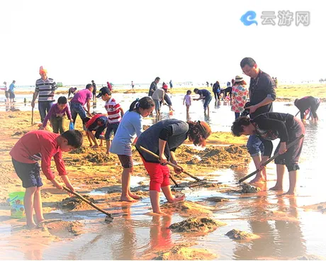 北海红树林欢乐赶海