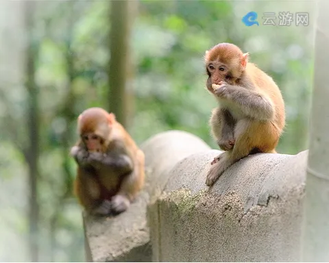 永春牛姆林生态旅游区