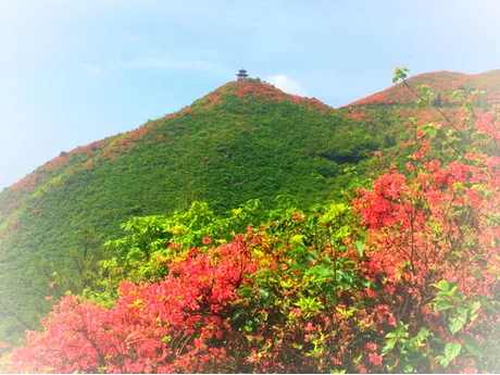 贵州丹寨龙泉山