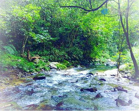 永安天宝岩自然保护区