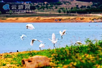 驻马店泌阳铜山风景区铜山风景区