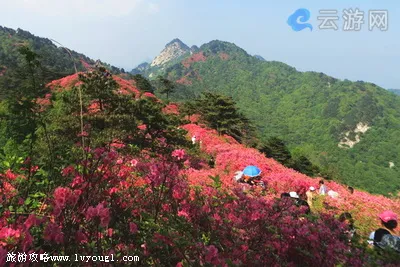 麻城龟峰山风景区