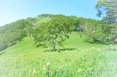 伊春平顶山景区