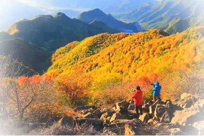 滦平白草洼森林公园