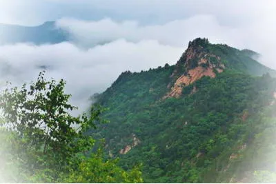 滦平白草洼森林公园