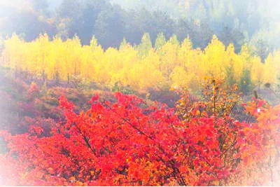 黄岗桐柏山红叶景区