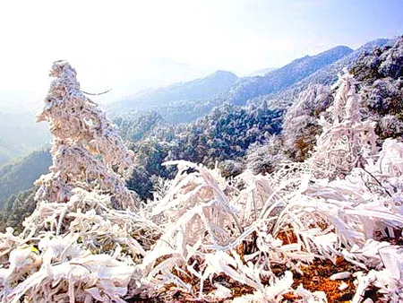 永州阳明山森林公园