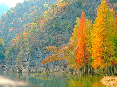 永州阳明山森林公园