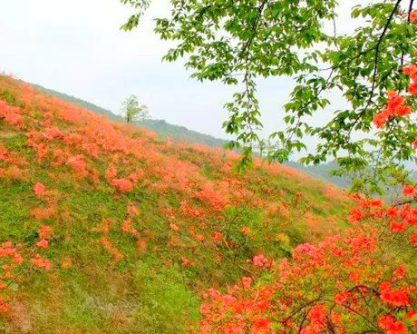 通山大幕山