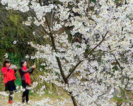 通山大幕山景区