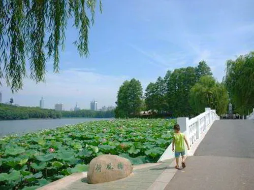 东湖听涛游泳场