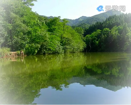 双龙山原始森林公园