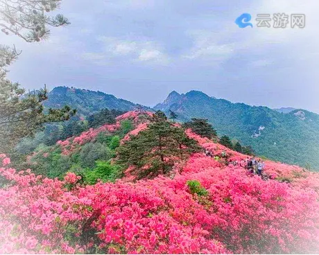 英山天马寨风景区