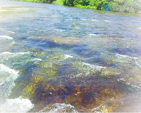 仙游仙水洋风景区