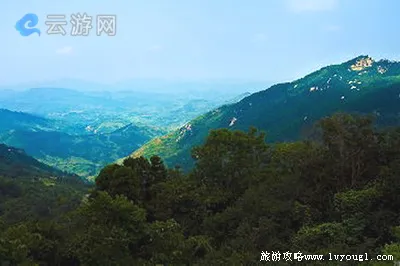 团风大崎山森林公园