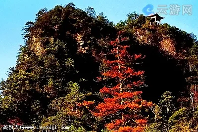 井冈山集景峰